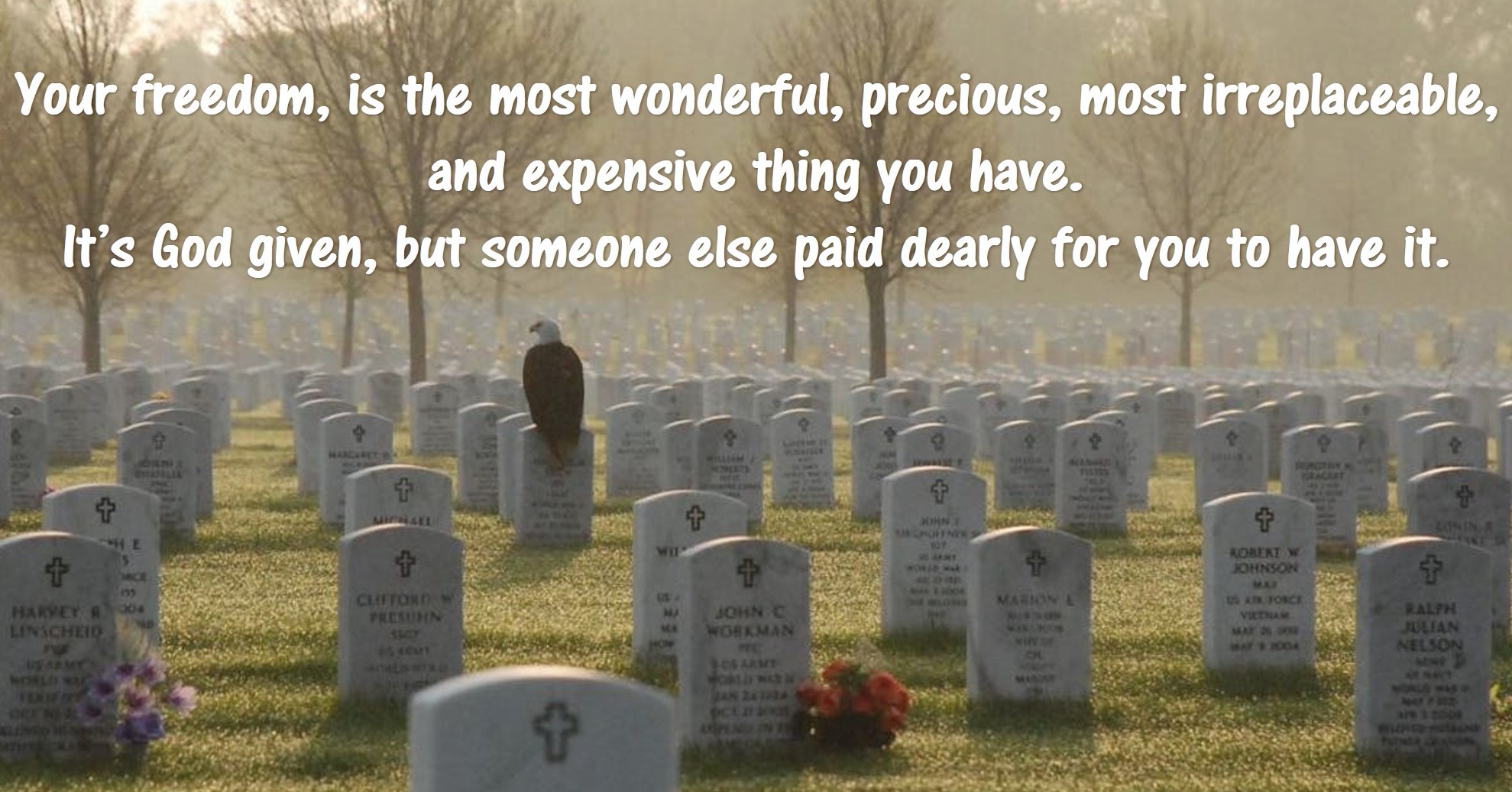 freedom is expensive.jpg