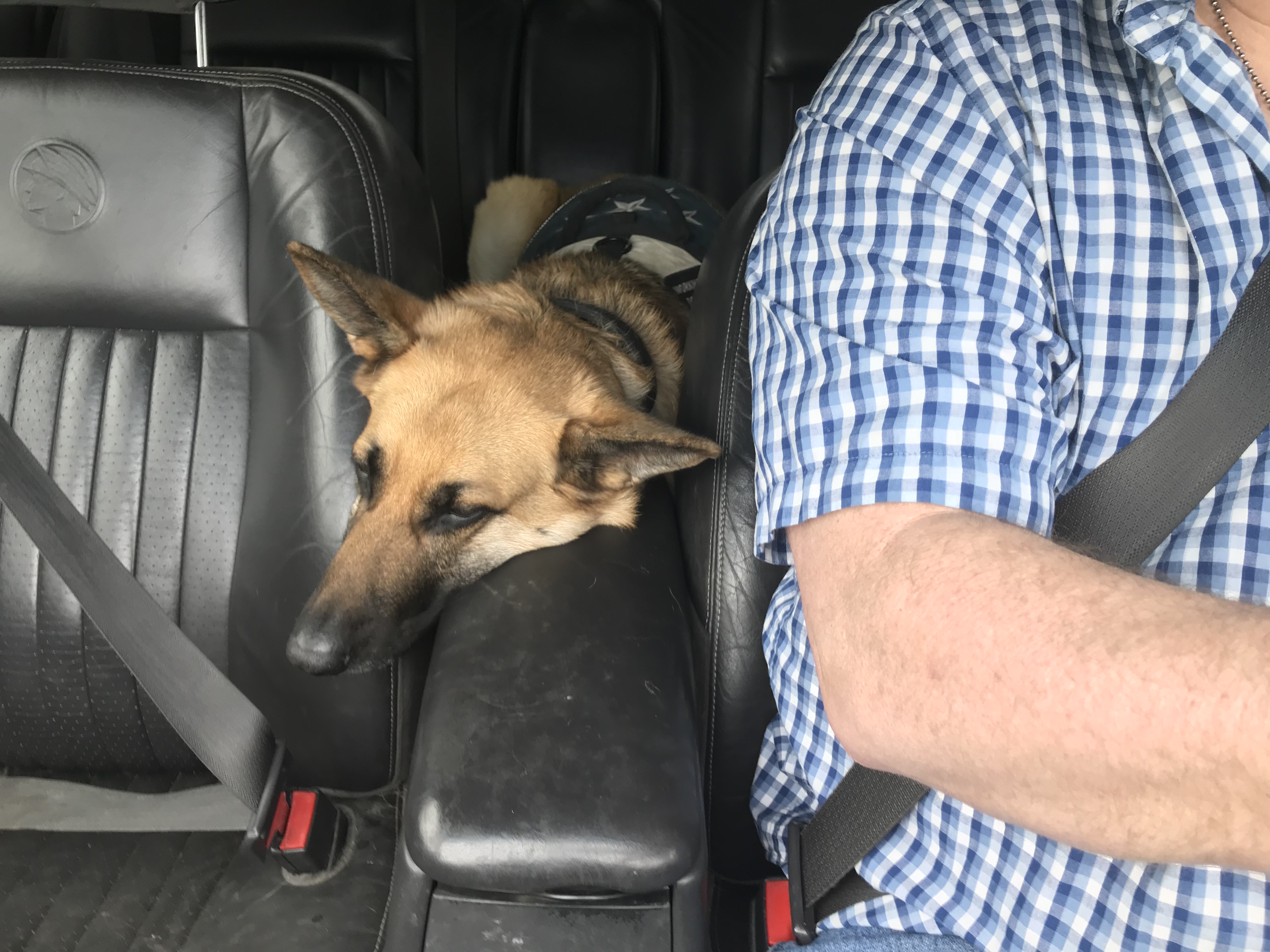 from the back seat..JPG
