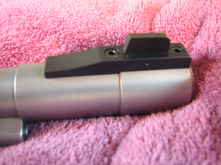 Front Sight and Barrel Band.JPG