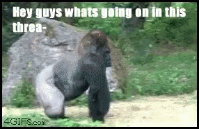 fuckthisthread.gif