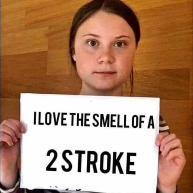 full-1454-368632-greta_2_stroke.jpg