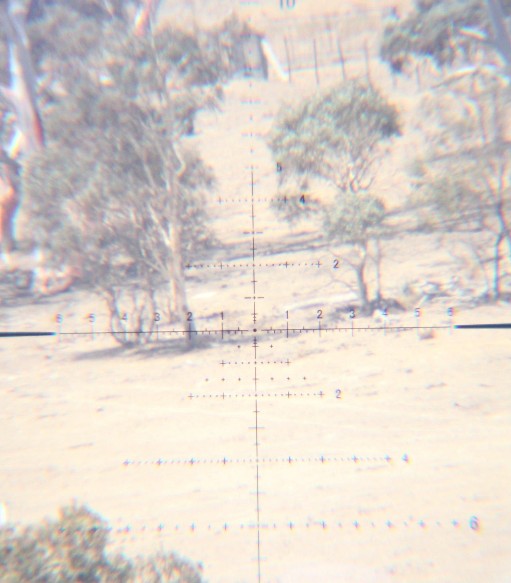 FullSizeRender 4.jpg