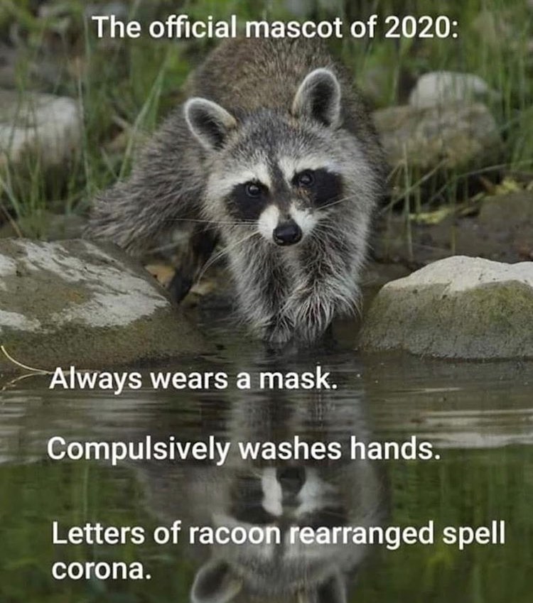 funny-2020-memes-43.jpg