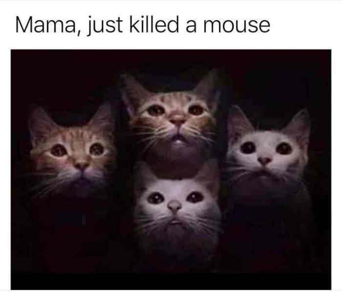 funny-a-mouse.jpg