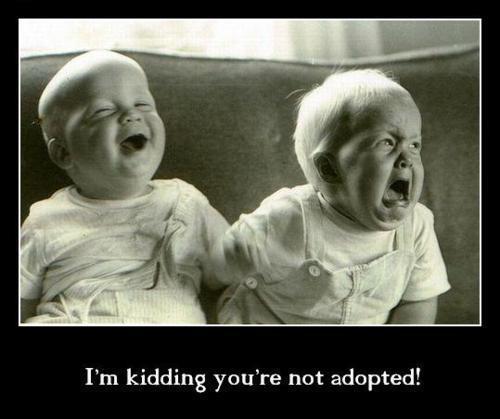 funny-babies-memes.jpg