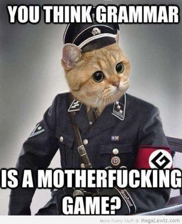 Funny-grammer-nazi-cat-pictures-lol.jpg