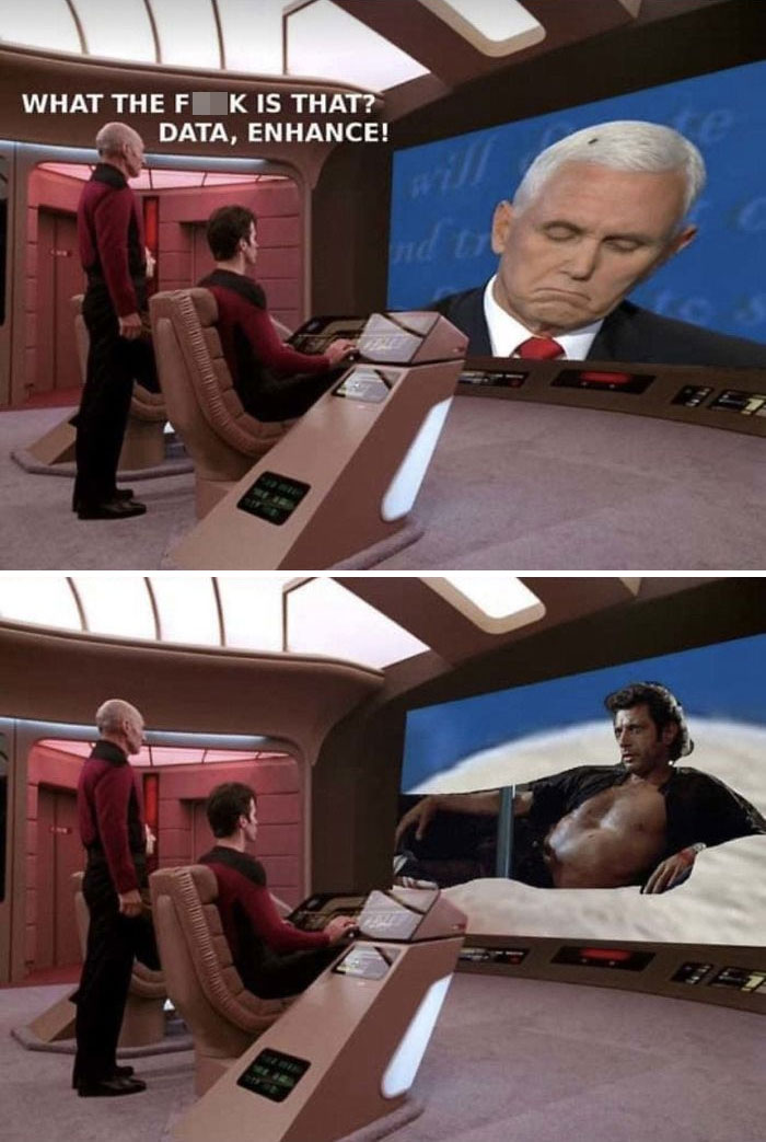 funny-mike-pence-fly-landing-reactions-101-5f7f2336348bc__700.jpg