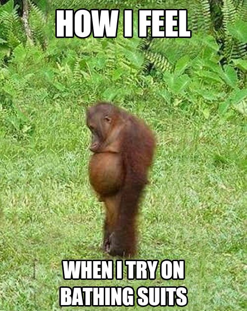 funny-monkey-fat-bathing-suits.jpg