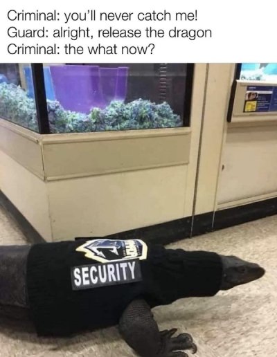 funny-random-meme-dump-7.jpg