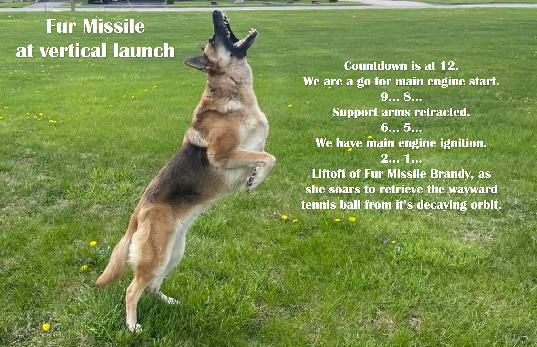 Fur Missile Brandy at launch.jpg