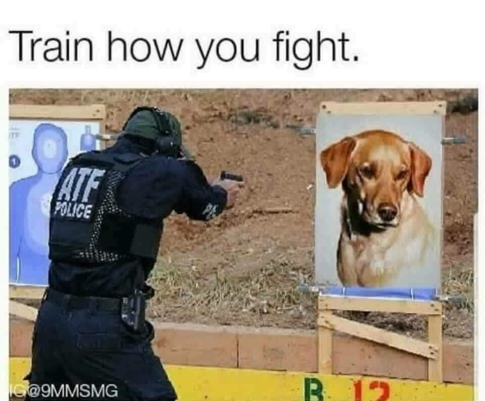 FZ42JmcUUAITGfw.jpeg.jpg