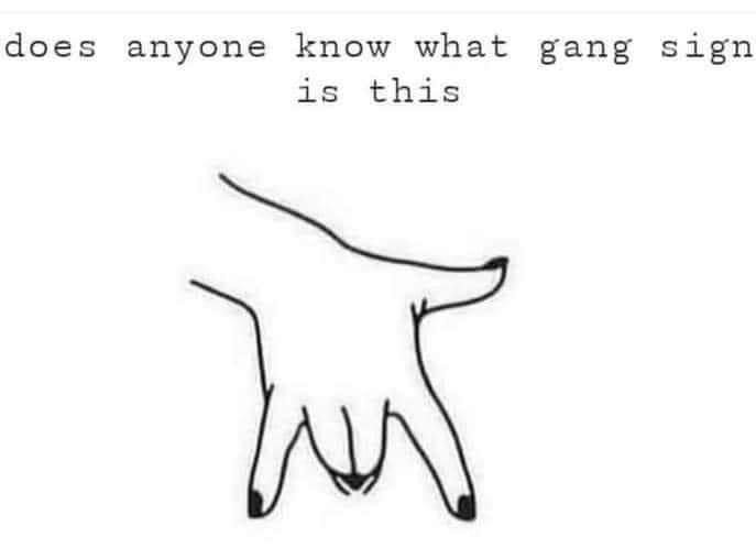 gang.jpg