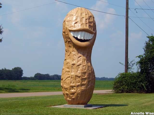 GAPLApeanut_prov02_640x480.jpeg
