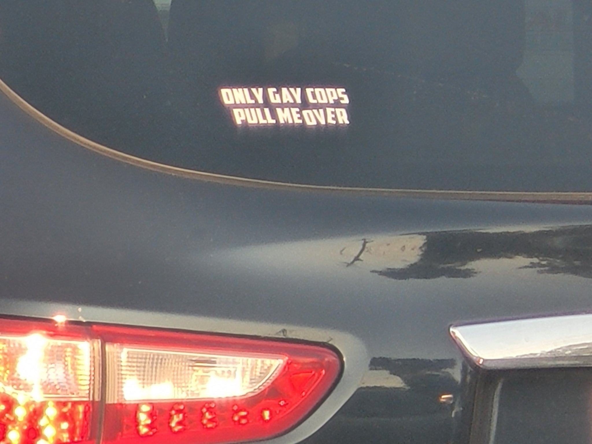 Gay Cops2.jpg