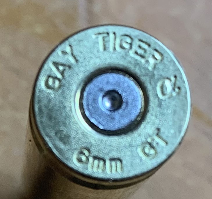 Gay Tiger.jpg