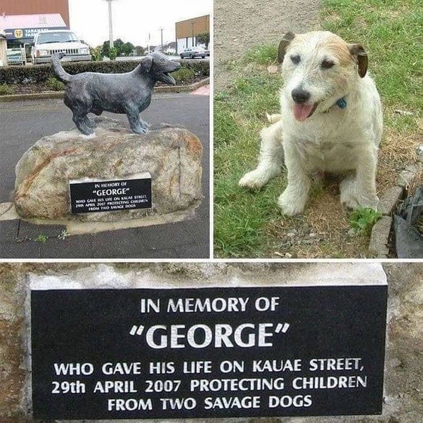 George.jpg
