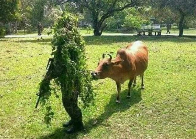 ghillie.jpg