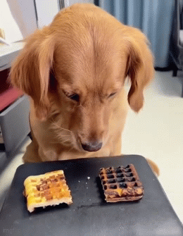 GIF25 (1).gif