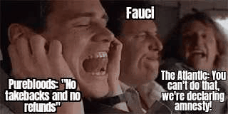 GifMeme20410704112022.gif