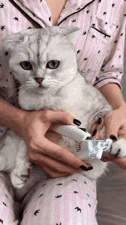 GIFs-20-5.gif