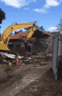 gifs-24.gif