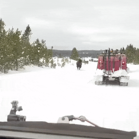 gifs_01.gif