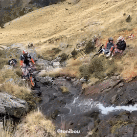 gifs_01.gif