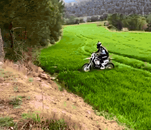 gifs_01.gif