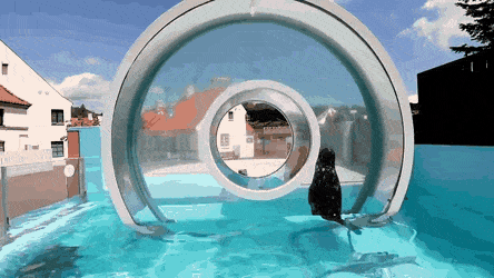gifs_01.gif