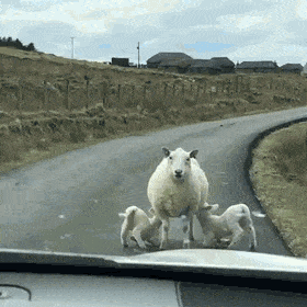gifs_01.gif