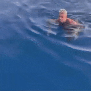 gifs_01.gif