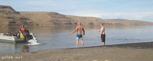 gifs_01.gif