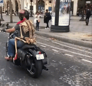 gifs_01.gif