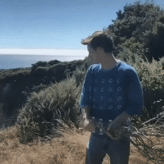 gifs_01.gif