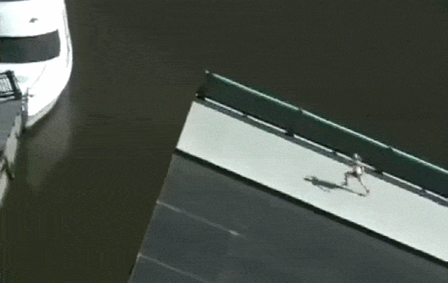 gifs_01.gif