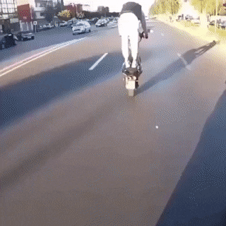 gifs_01.gif