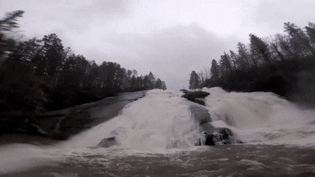 gifs_01.gif