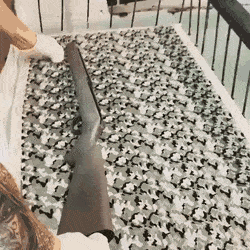 GIFS_02.gif