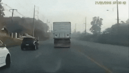 gifs_02.gif