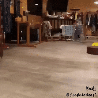gifs_02.gif