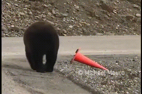 gifs_02.gif