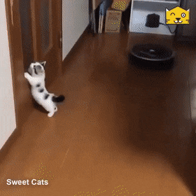 gifs_02.gif