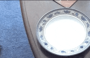 gifs_02.gif
