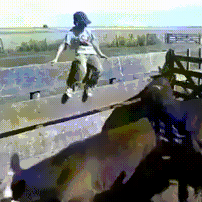 gifs_02.gif