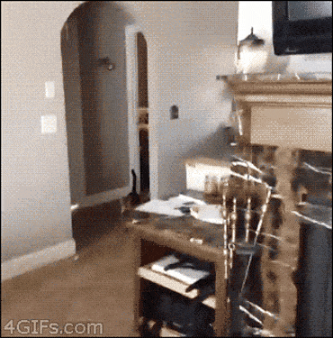 gifs_02.gif