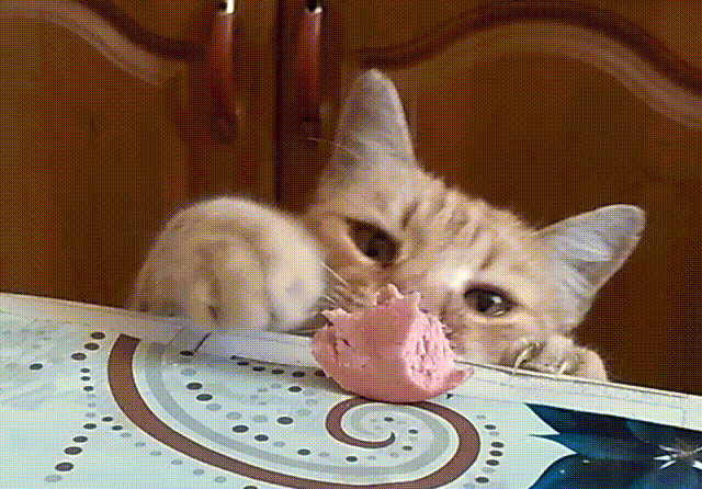gifs_02.gif