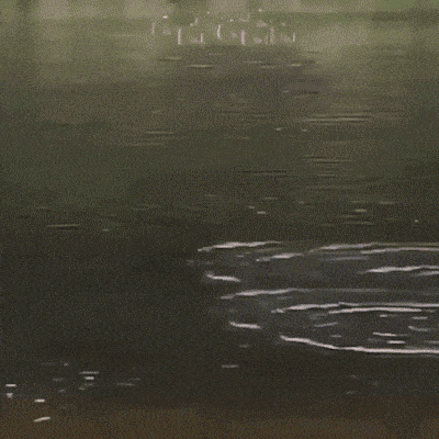 gifs_02.gif