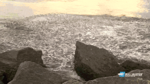 gifs_02.gif