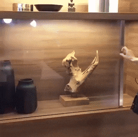 gifs_02.gif