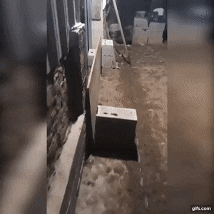 gifs_02.gif